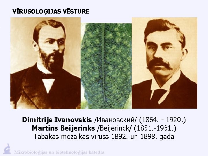 VĪRUSOLOĢIJAS VĒSTURE Dimitrijs Ivanovskis /Ивановский/ (1864. - 1920. ) Martins Beijerinks /Beijerinck/ (1851. -1931.