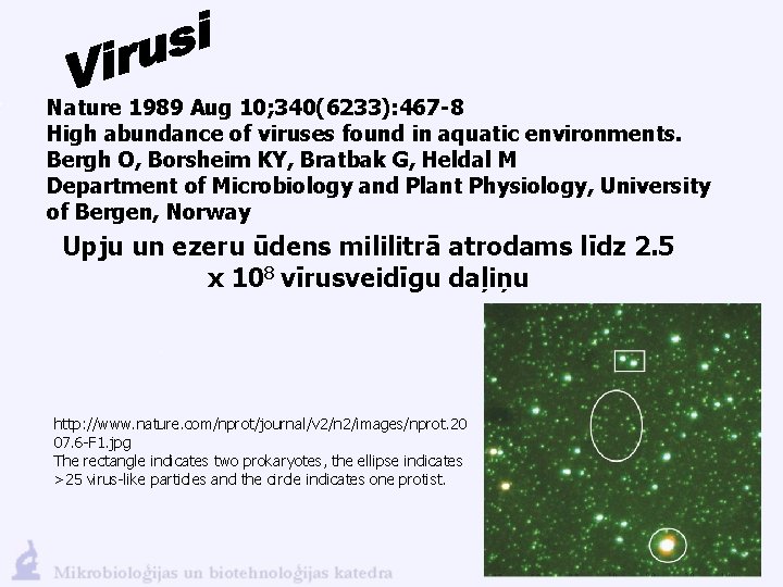 Nature 1989 Aug 10; 340(6233): 467 -8 High abundance of viruses found in aquatic