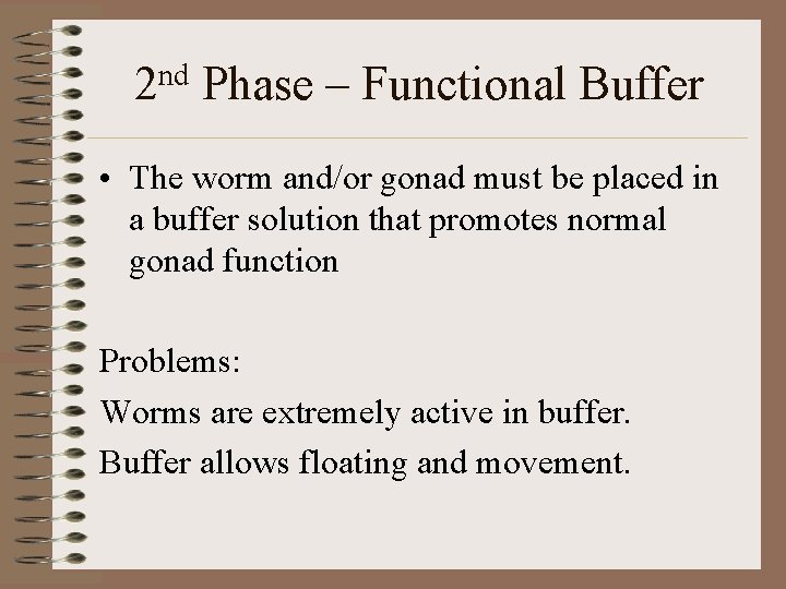 2 nd Phase – Functional Buffer • The worm and/or gonad must be placed