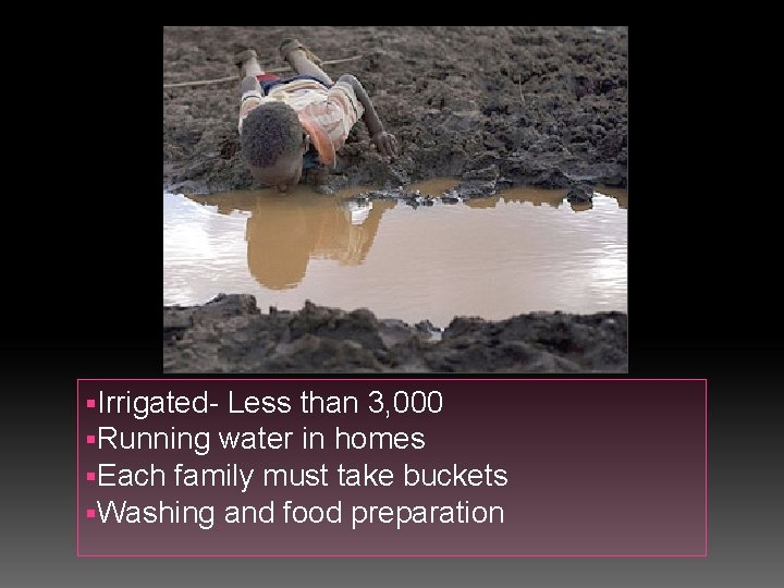 §Irrigated- Less than 3, 000 §Running water in homes §Each family must take buckets