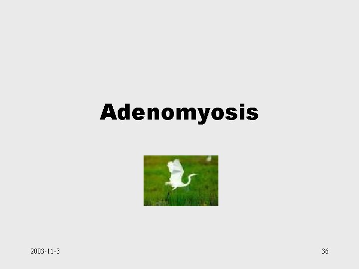 Adenomyosis 2003 -11 -3 36 