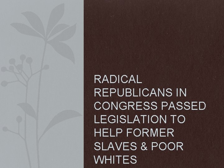 RADICAL REPUBLICANS IN CONGRESS PASSED LEGISLATION TO HELP FORMER SLAVES & POOR WHITES 