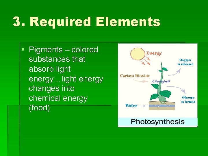 3. Required Elements § Pigments – colored substances that absorb light energy…light energy changes