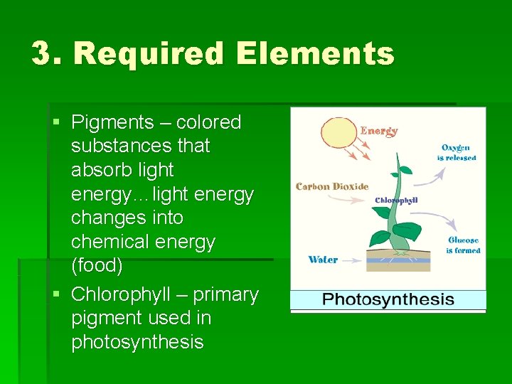 3. Required Elements § Pigments – colored substances that absorb light energy…light energy changes