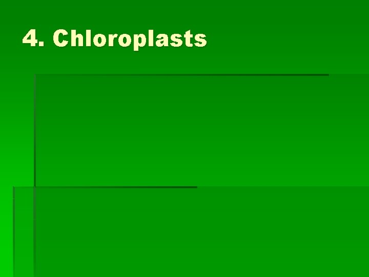 4. Chloroplasts 