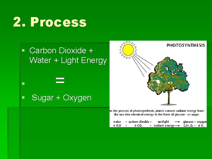 2. Process § Carbon Dioxide + Water + Light Energy § = § Sugar