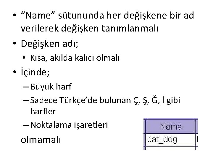  • “Name” sütununda her değişkene bir ad verilerek değişken tanımlanmalı • Değişken adı;