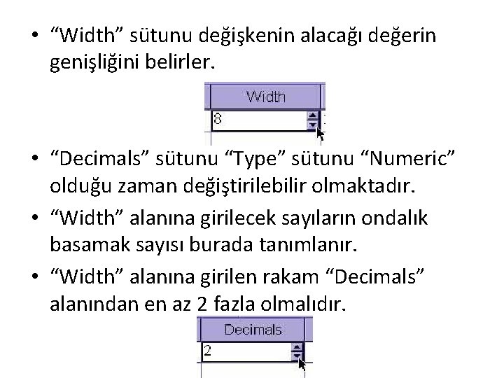  • “Width” sütunu değişkenin alacağı değerin genişliğini belirler. • “Decimals” sütunu “Type” sütunu