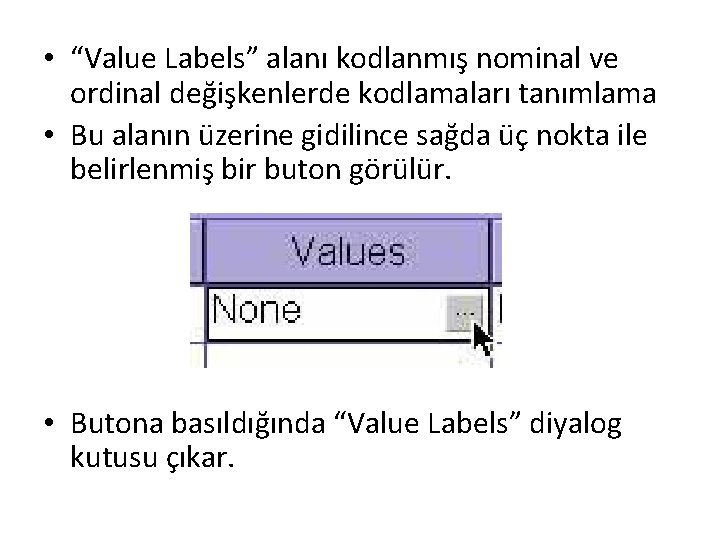  • “Value Labels” alanı kodlanmış nominal ve ordinal değişkenlerde kodlamaları tanımlama • Bu