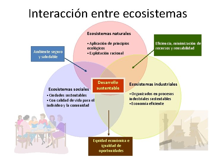 Interacción entre ecosistemas Ecosistemas naturales Ambiente seguro y saludable • Aplicación de principios ecológicos