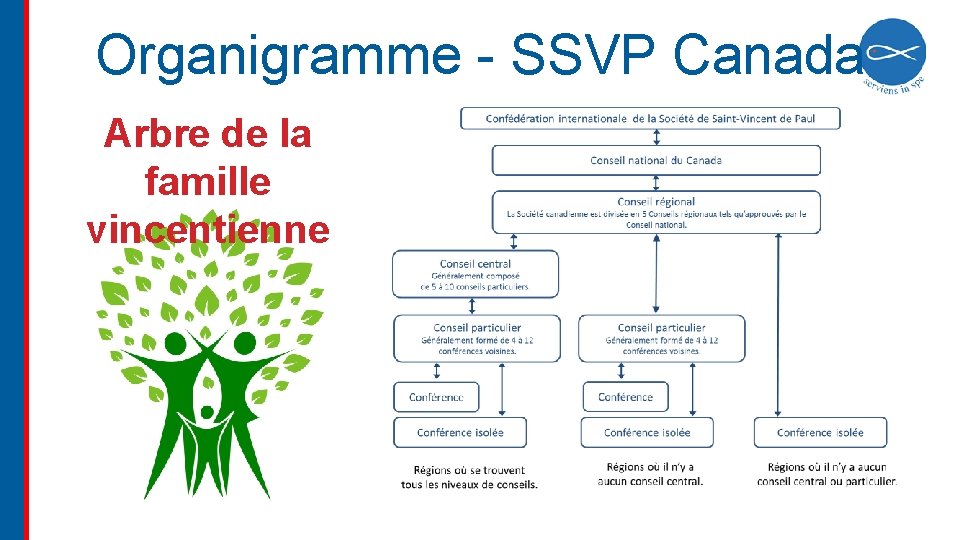 Organigramme - SSVP Canada Arbre de la famille vincentienne 