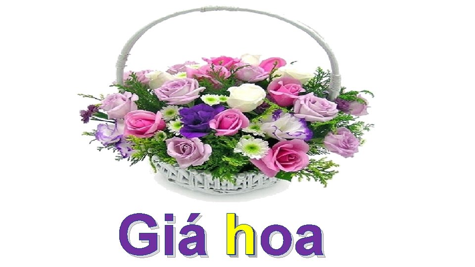 Giá h hoa 