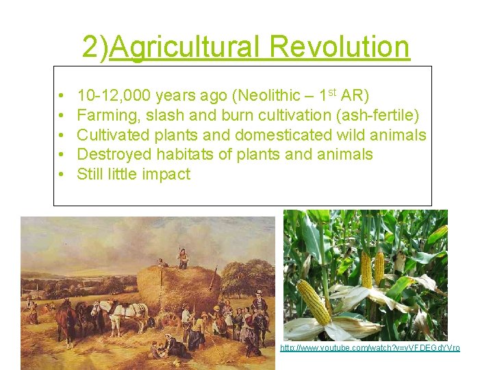 2)Agricultural Revolution • • • 10 -12, 000 years ago (Neolithic – 1 st