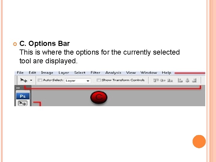  C. Options Bar This is where the options for the currently selected tool