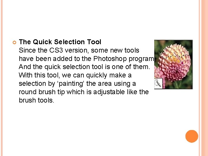  The Quick Selection Tool Since the CS 3 version, some new tools have