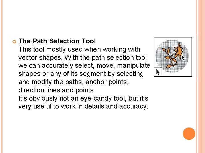  The Path Selection Tool This tool mostly used when working with vector shapes.