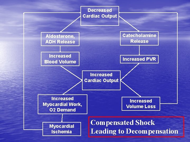 Decreased Cardiac Output Aldosterone, ADH Release Catecholamine Release Increased Blood Volume Increased PVR Increased Decreased Cardiac Output Aldosterone, ADH Release Catecholamine Release Increased Blood Volume Increased PVR Increased