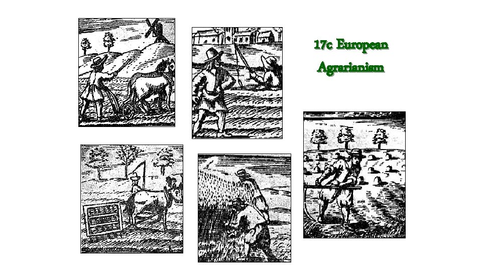 17 c European Agrarianism 17 c European Agrarianism