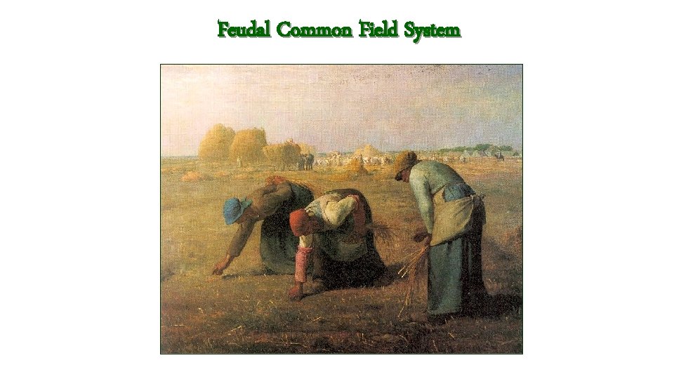 Feudal Common Field System Feudal Common Field System