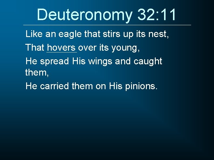 Deuteronomy 32: 11 Like an eagle that stirs up its nest, That hovers over