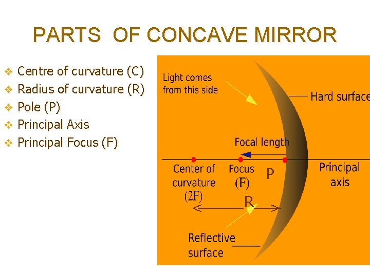 PARTS OF CONCAVE MIRROR v Centre of curvature (C) v Radius of curvature (R)