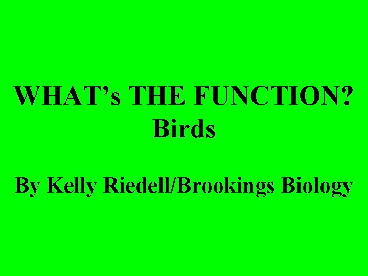 WHAT’s THE FUNCTION? Birds By Kelly Riedell/Brookings Biology 