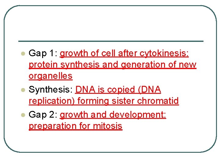 l l l Gap 1: growth of cell after cytokinesis: protein synthesis and generation