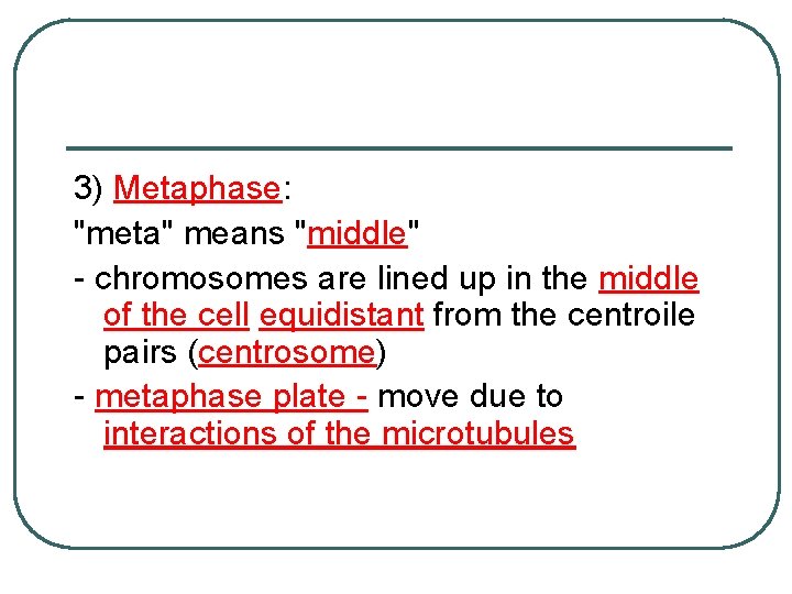 3) Metaphase: "meta" means "middle" - chromosomes are lined up in the middle of