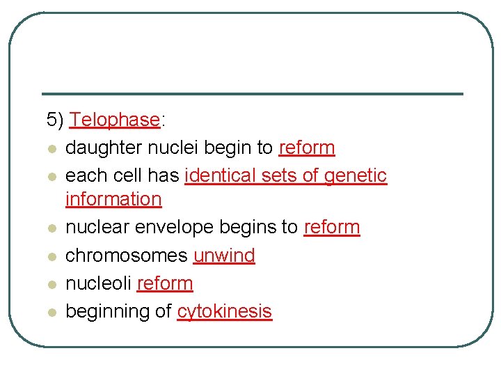 5) Telophase: l daughter nuclei begin to reform l each cell has identical sets