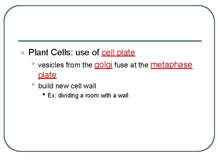 l Plant Cells: use of cell plate • vesicles from the golgi fuse at