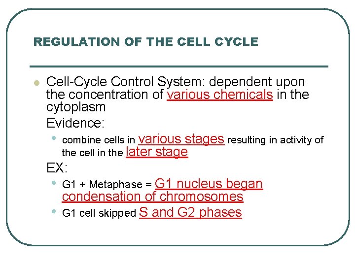 REGULATION OF THE CELL CYCLE l Cell-Cycle Control System: dependent upon the concentration of