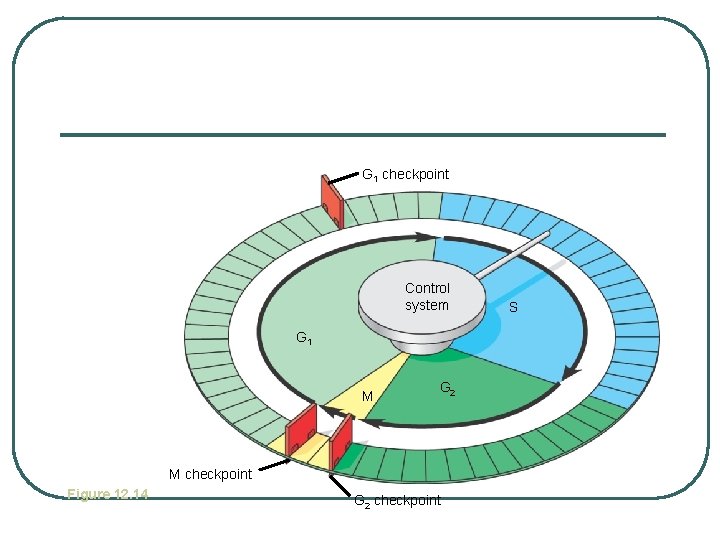 G 1 checkpoint Control system G 1 M G 2 M checkpoint Figure 12.