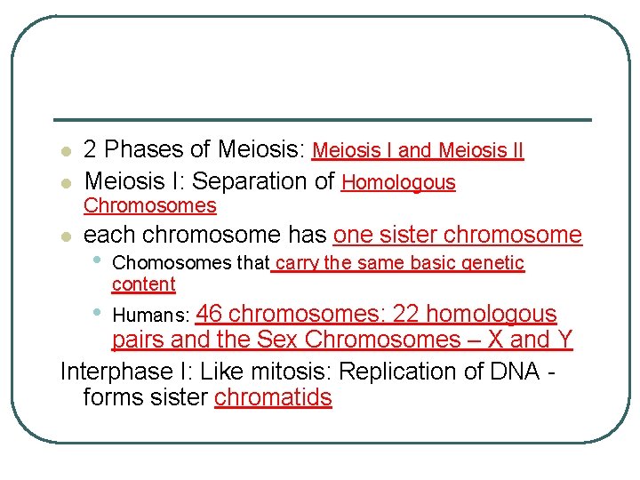 l l 2 Phases of Meiosis: Meiosis I and Meiosis II Meiosis I: Separation