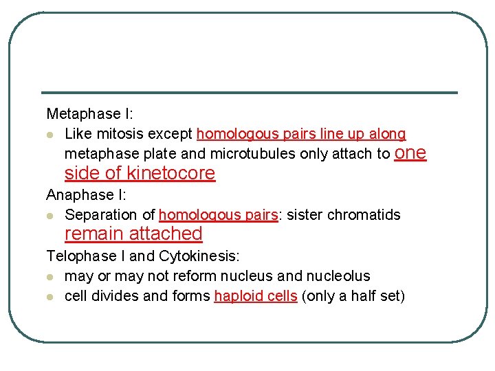 Metaphase I: l Like mitosis except homologous pairs line up along metaphase plate and