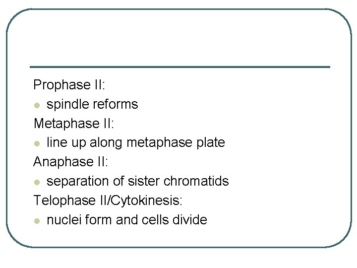 Prophase II: l spindle reforms Metaphase II: l line up along metaphase plate Anaphase