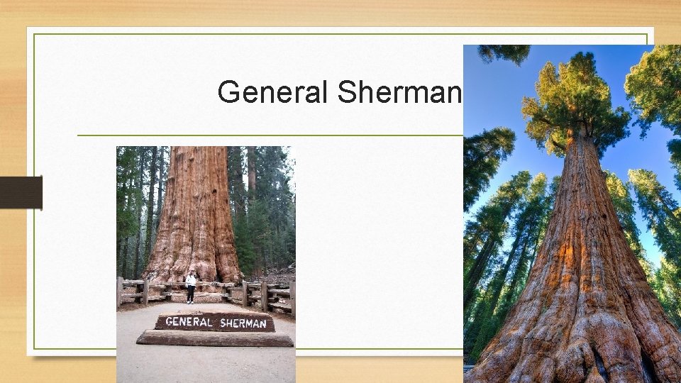 General Sherman 