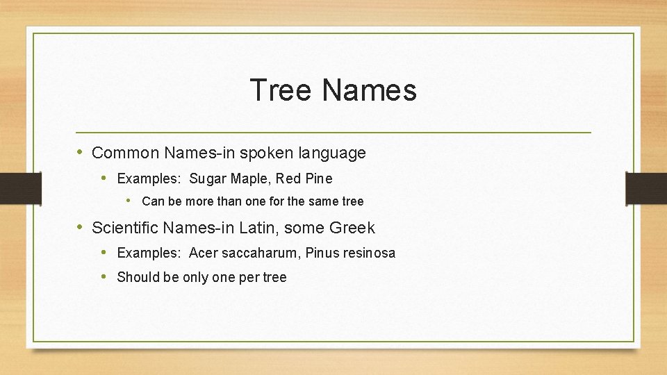Tree Names • Common Names-in spoken language • Examples: Sugar Maple, Red Pine •