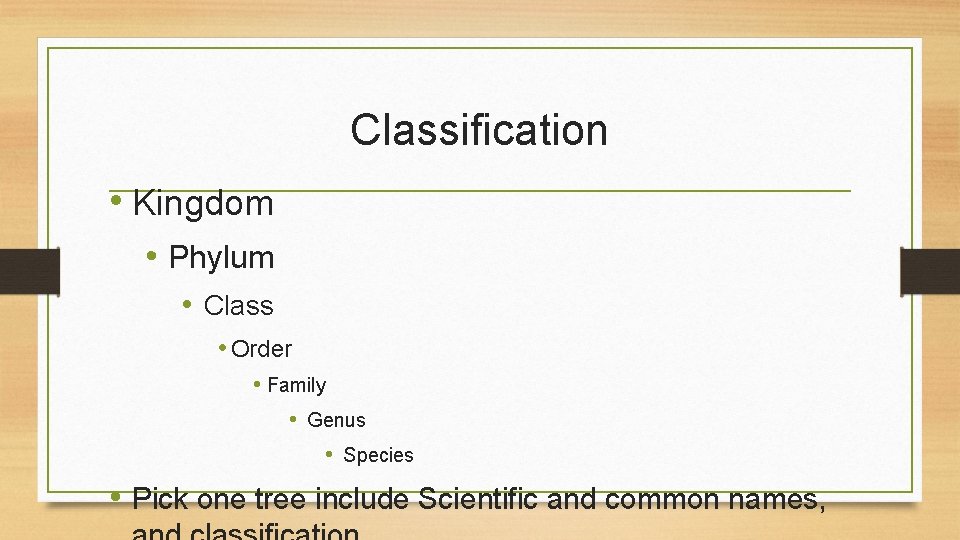 Classification • Kingdom • Phylum • Class • Order • Family • Genus •