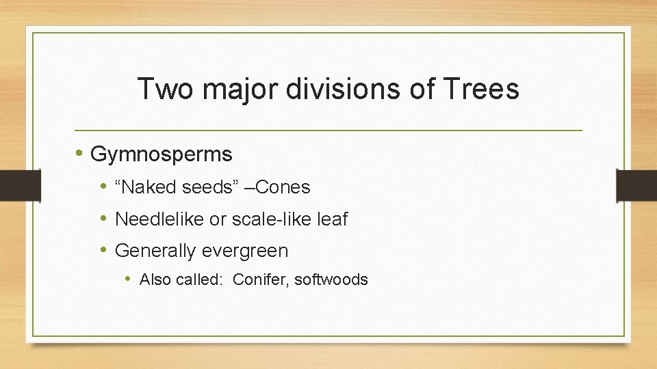 Two major divisions of Trees • Gymnosperms • “Naked seeds” –Cones • Needlelike or