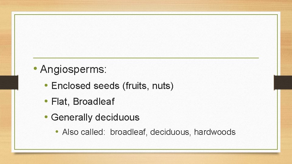  • Angiosperms: • Enclosed seeds (fruits, nuts) • Flat, Broadleaf • Generally deciduous