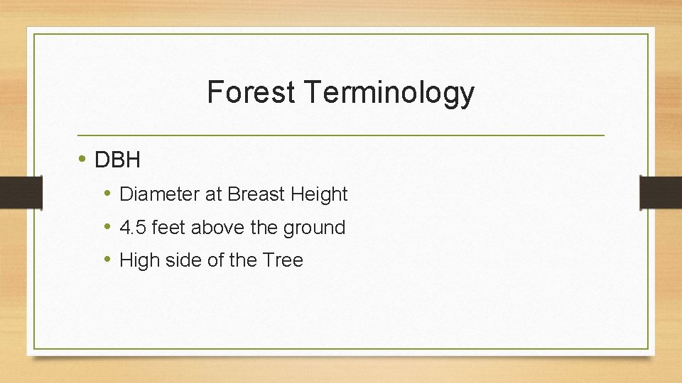 Forest Terminology • DBH • Diameter at Breast Height • 4. 5 feet above