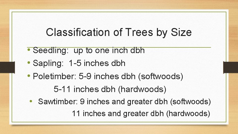 Classification of Trees by Size • Seedling: up to one inch dbh • Sapling: