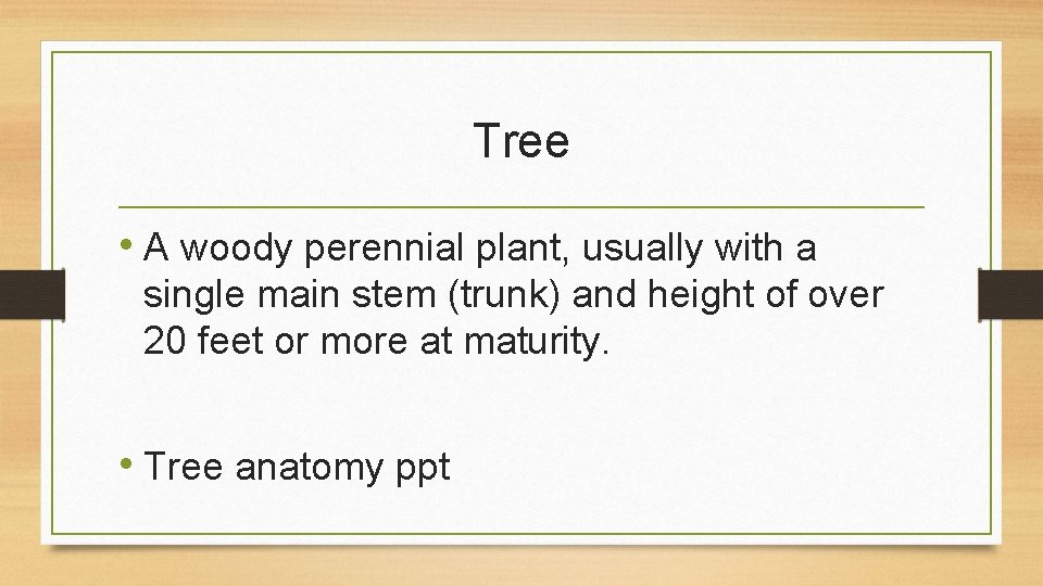 Tree • A woody perennial plant, usually with a single main stem (trunk) and