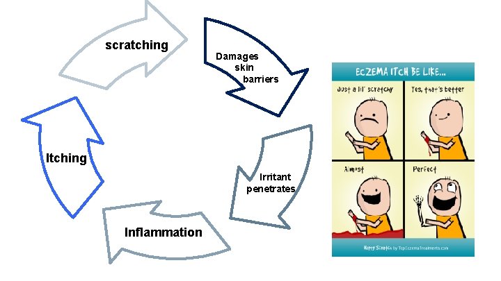 scratching Damages skin barriers Itching Irritant penetrates Inflammation 