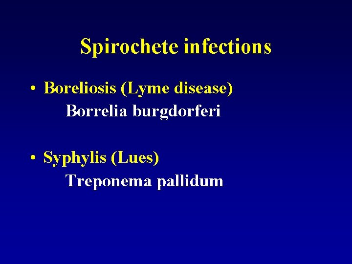 Spirochete infections • Boreliosis (Lyme disease) Borrelia burgdorferi • Syphylis (Lues) Treponema pallidum 