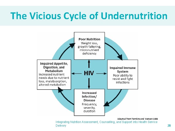 The Vicious Cycle of Undernutrition HIV Adapted from Tomkins and Watson 1989 Integrating Nutrition
