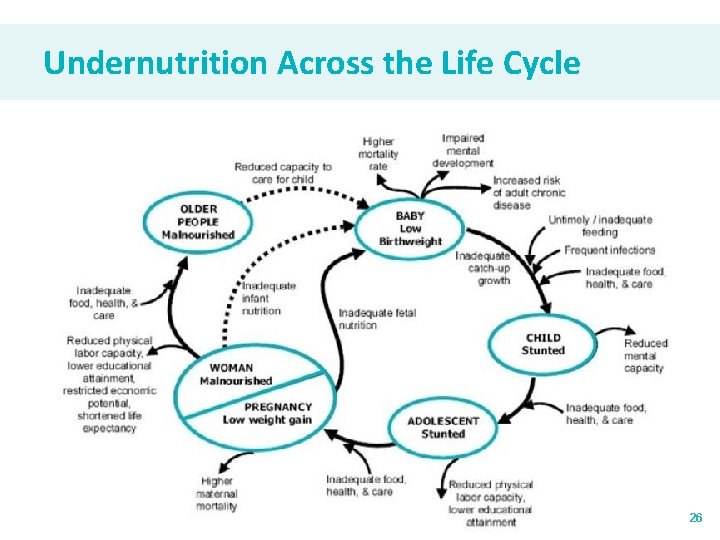 Undernutrition Across the Life Cycle 26 