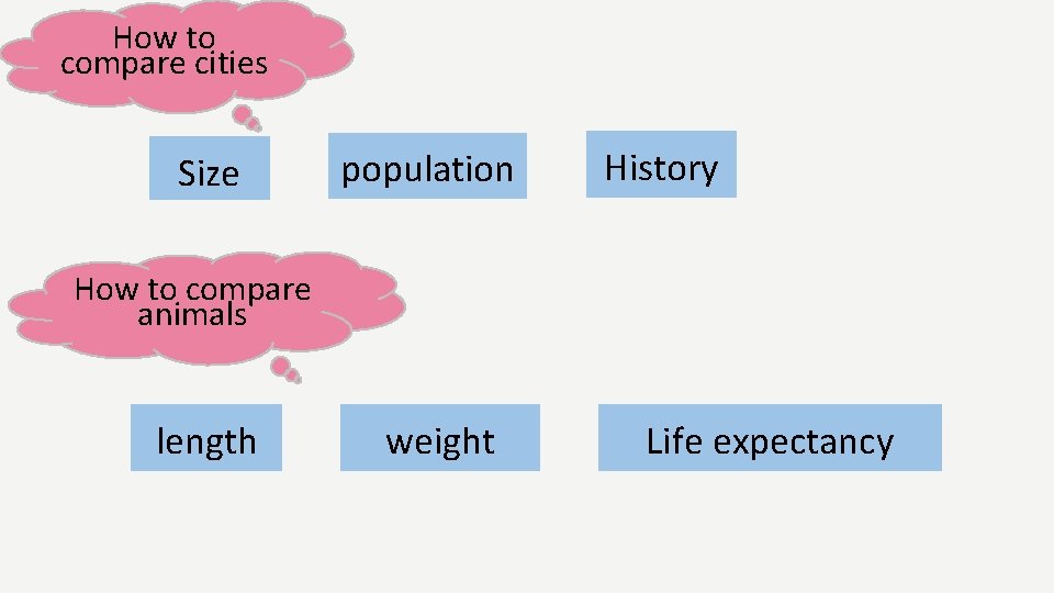 How to compare cities Size population History How to compare animals length weight Life