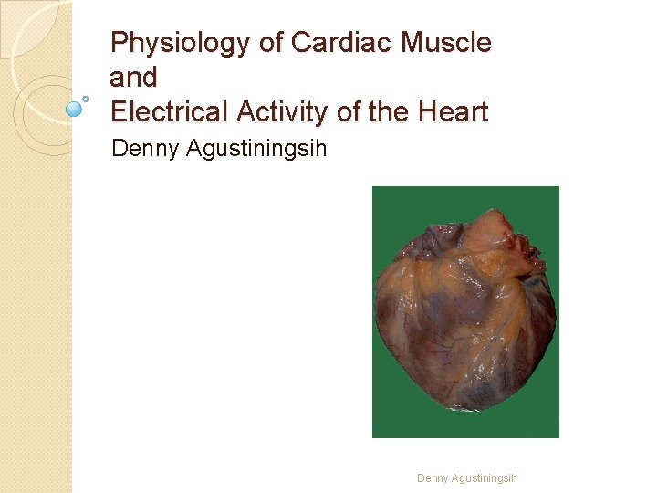Physiology of Cardiac Muscle and Electrical Activity of the Heart Denny Agustiningsih 