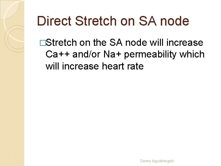 Direct Stretch on SA node �Stretch on the SA node will increase Ca++ and/or